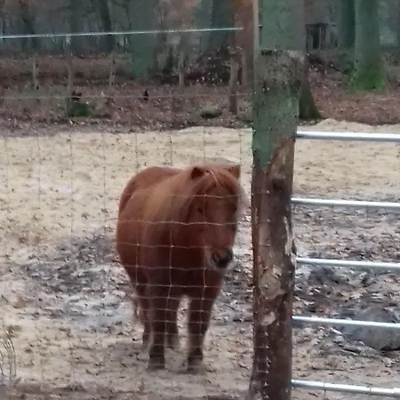 Apartmán Muehlenhof-soderstorf-wohnung-e *