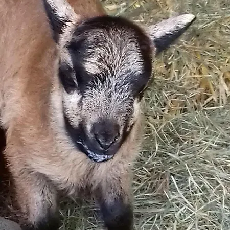 Muehlenhof-soderstorf-wohnung-e Apartmán