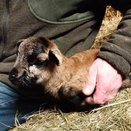 Muehlenhof-soderstorf-wohnung-e Apartmán Soderstorf