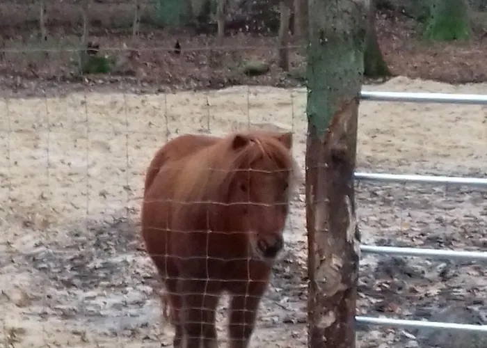 Apartmán Muehlenhof-soderstorf-wohnung-e *