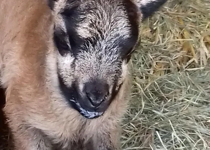 Muehlenhof-soderstorf-wohnung-e Apartmán