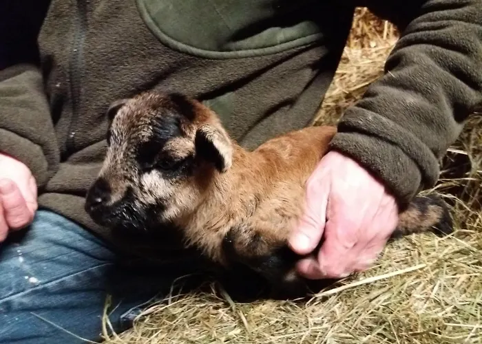 Muehlenhof-soderstorf-wohnung-e Apartmán Soderstorf